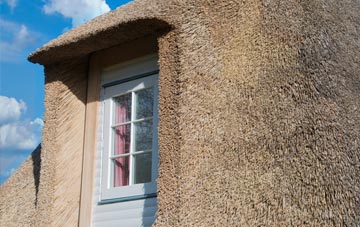 Seven Ash thatch roof disadvantages